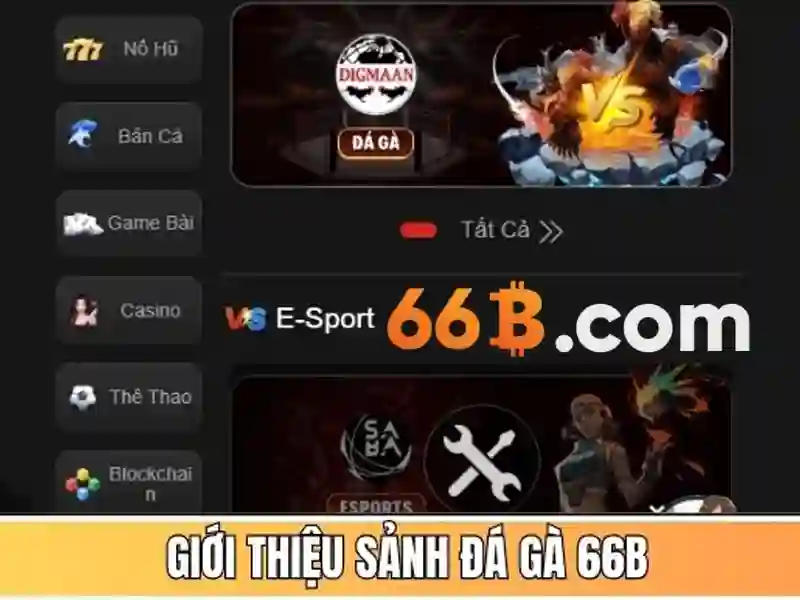 66B là gì?