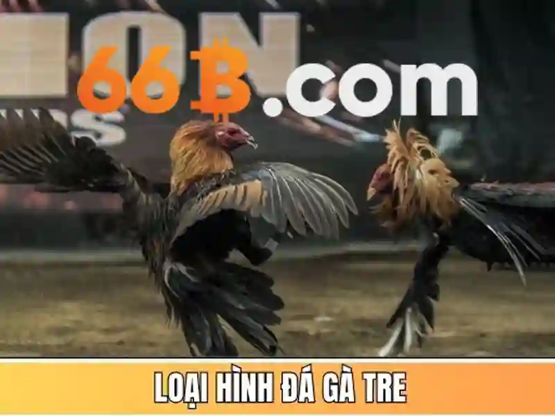 Doi-tuong du lieu 66b