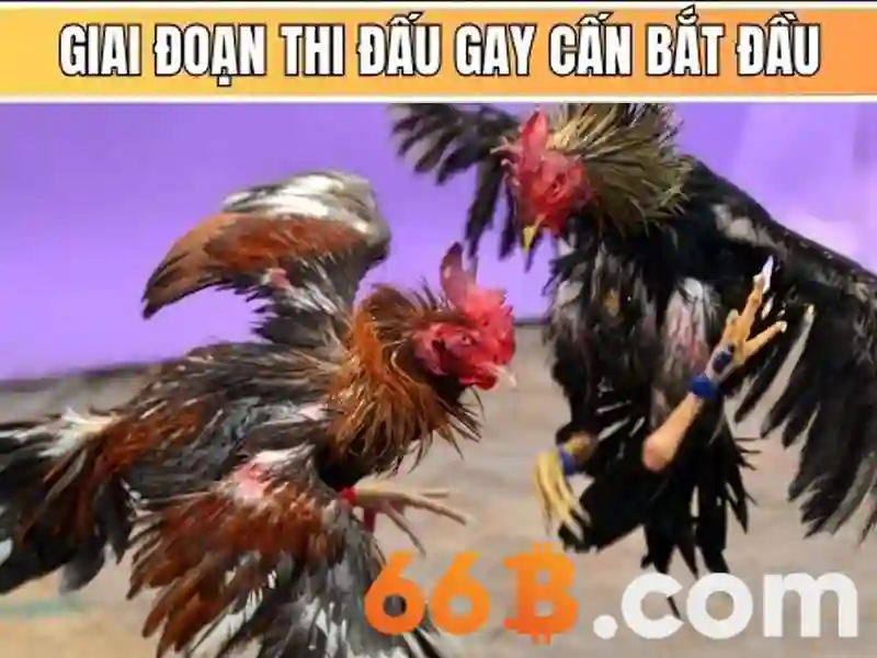 OPT-66B: một mô hình ngôn ngữ quy mô 66 tỷ tham số và vai trò của nó trong AI