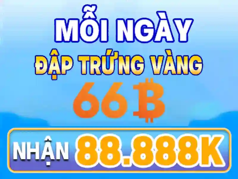 66B là gì?