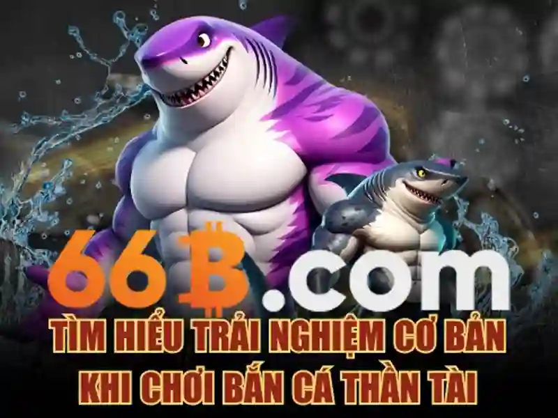 Nguồn gốc và ý nghĩa của 66b