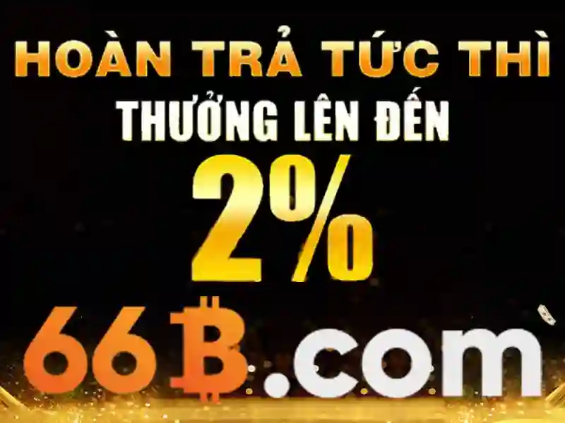 Khả năng và ứng dụng của 66B