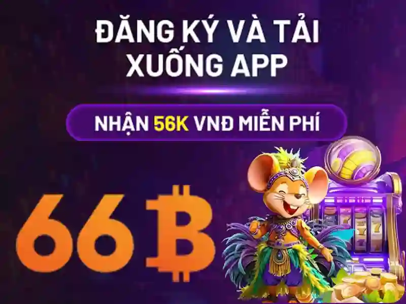 Khái quát về 66B Khái quát về 66B