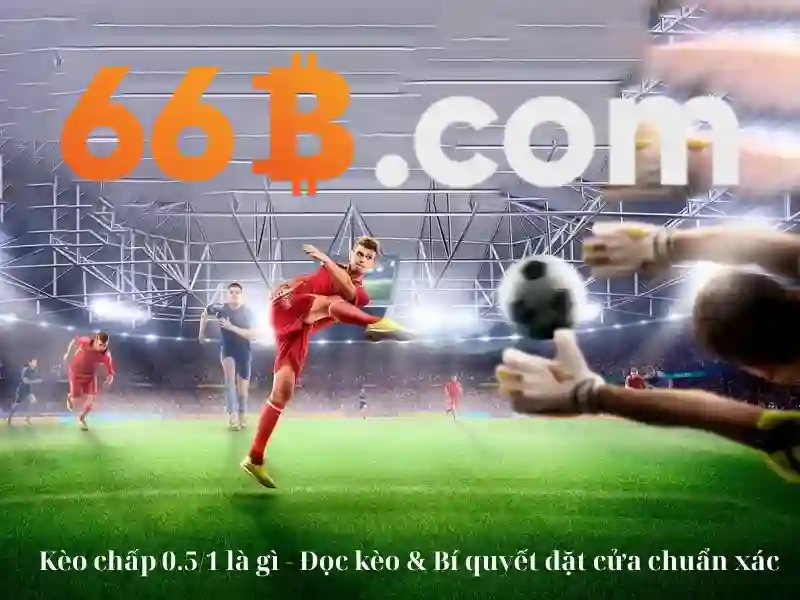 66b quán sứ – Tổng quan chủ đề và giá trị cốt lõi